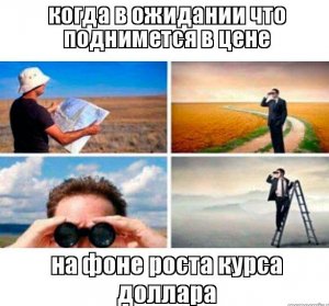 3pwvy4.jpg_cr.jpg 3pwvy4.jpg_cr.jpg