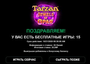 бону1.jpg
