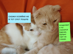 IMG_20201115_141238_.png IMG_20201115_141238_.png