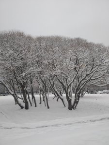 IMG_20201121_090842.jpg