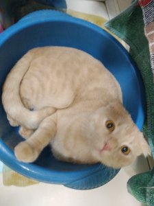 IMG_20201205_004144.jpg
